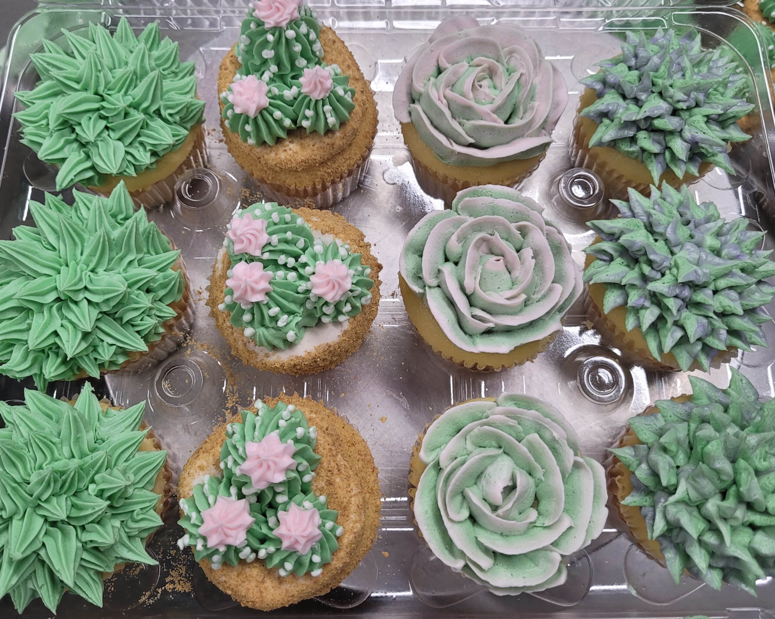 Cupck Succulents-min