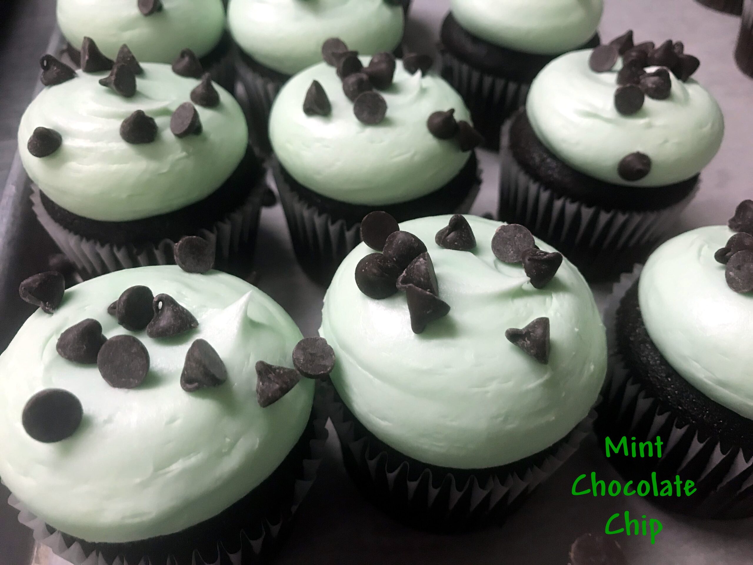 Mint Choc ChipW-min