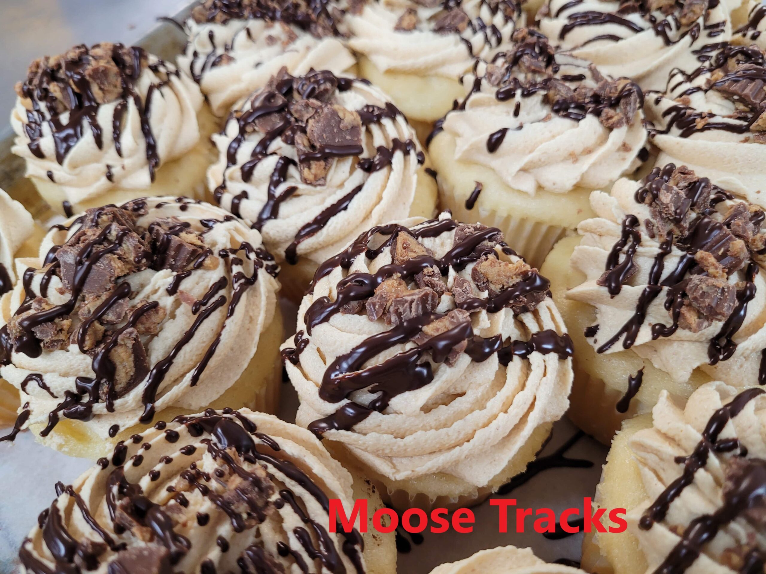 Moose Tracks-min