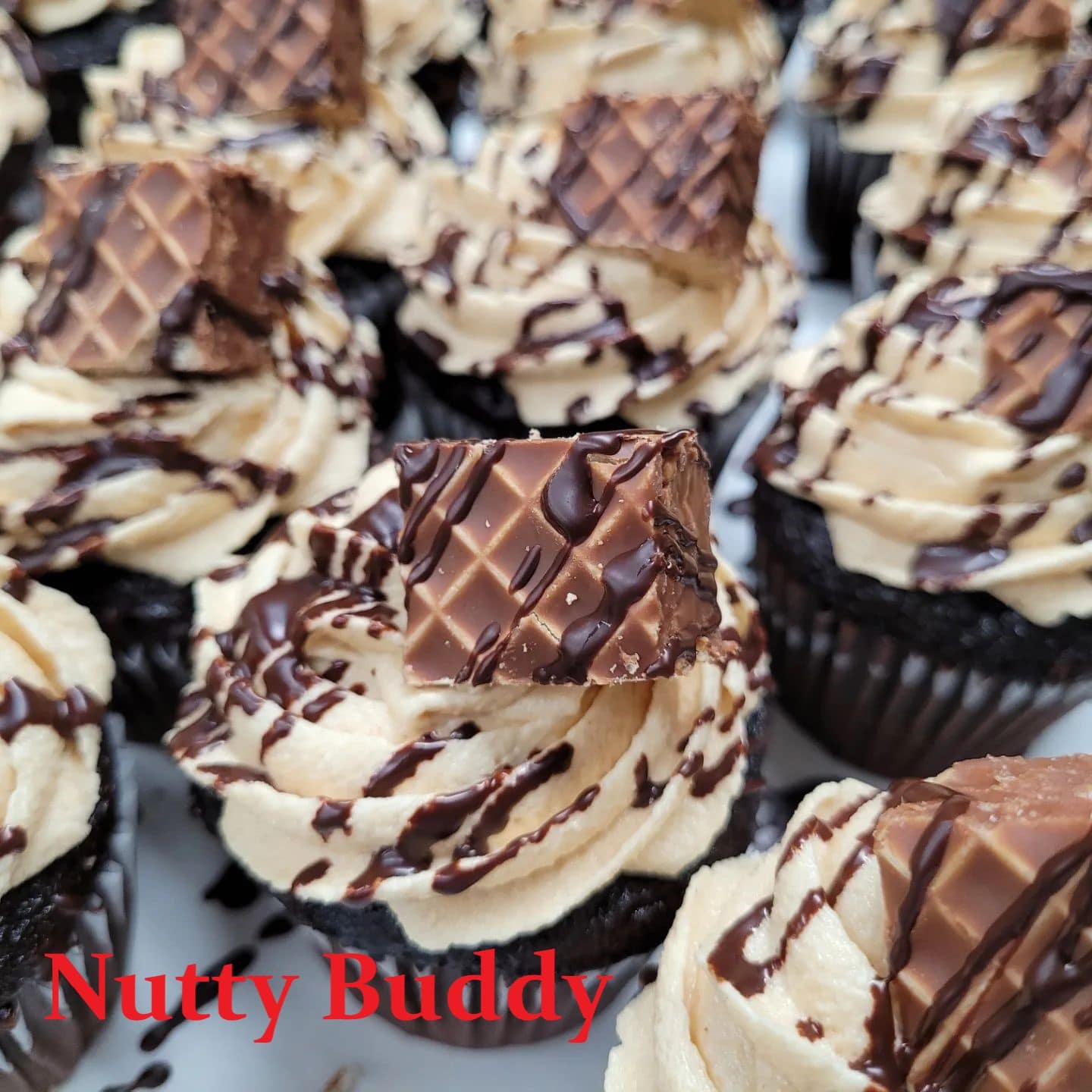 Nutty BUDDY-min